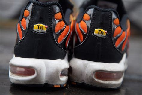 Material Matters: Tuned Air And The Air Max Plus - Sneaker Freaker