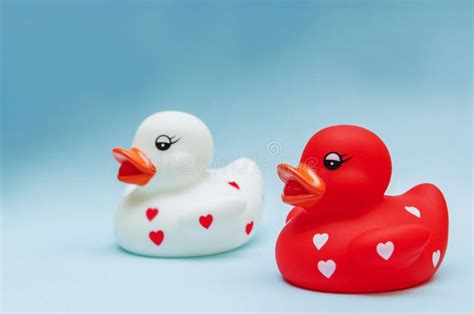 Two Ducks Kiss stock photo. Image of communication, baby - 18738922