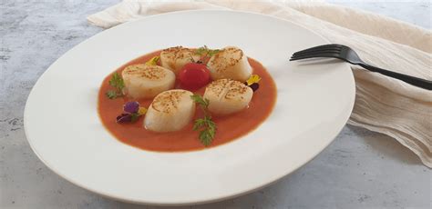 Pan Seared Hokkaido Scallops With Tomato Coulis Culinary Ambition