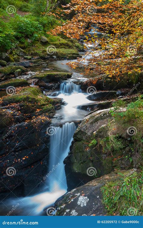 Irish Autumn Waterfall Forest Stock Photo - Image of country, irish ...