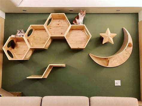 21 Ideas For Designing And Organizing A Cat Room Extra Space Storage