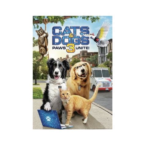 Cats & Dogs 3: Paws Unite (DVD), 1 ct - Kroger