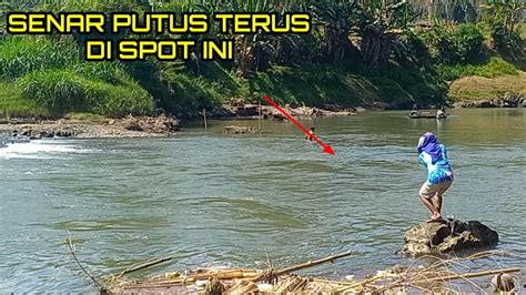 TIDAK ADA IKAN YANG TERSELAMATKAN SAMPAI SENAR PUTUS KARENA