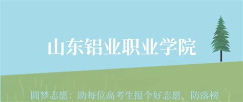 山东铝业职业学院各专业录取分数线及2023年最低位次（2024高考参考）