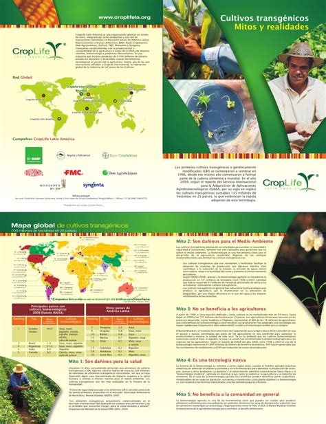 PDF Mitos Y Realidades Cultivos Transgenicos DOKUMEN TIPS
