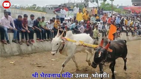 Bailgada Shriyat Bhosari 1300 Sec ची बारी ।श्री भैरवनाथ मंदिर उत्सव