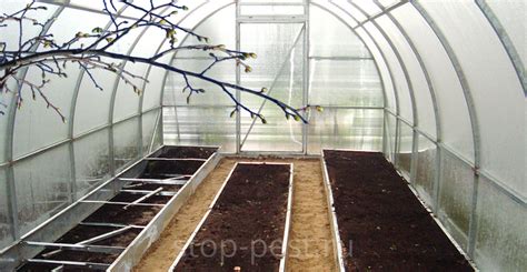 Весенняя обработка сада: ПОШАГОВЫЙ план работ (6 этапов)