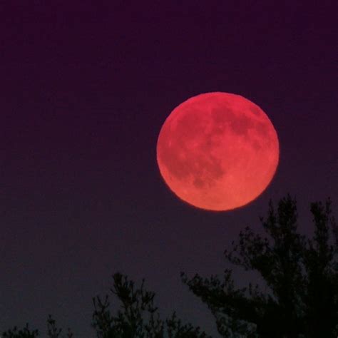 Strawberry Moon (StrawberryMoon) | Strawberry moons, Moon images, Moon