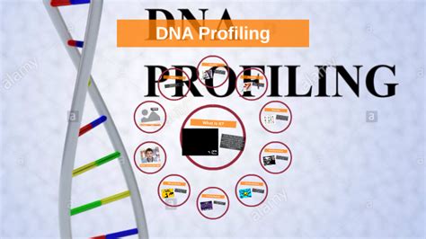 Dna Profiling By Tony Hockey On Prezi