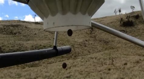 Drone Seeding Does It Have The Edge Over Down To Earth Techniques