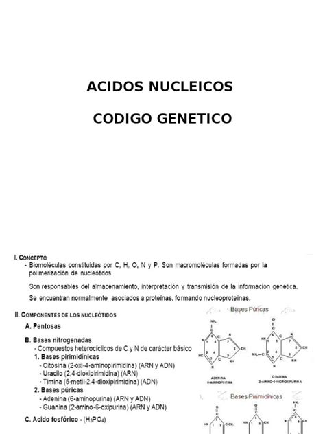 Pdf Acidos Nucleicos Codigo Genetico Dokumen Tips