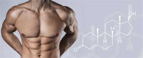 Bioidentical Hormones For Men Male Bioidentical Hormones Benefits