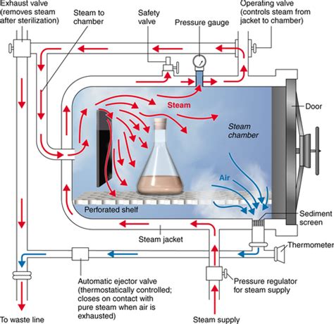 Microbiology Chapter 7 The Control Of Microbial Growth Flashcards