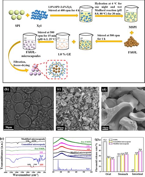 A Microcapsule Preparation Flow Chart B Microcapsule Micrograph Sem