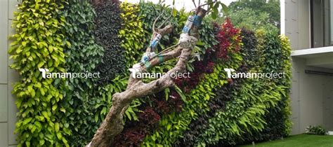 Jasa Vertical Garden Jakarta Ahlinya Taman Vertikal Tamanproject