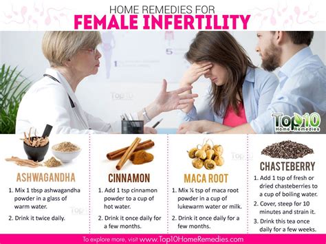 Home Remedies For Female Infertility Sterility Top 10 Home Remedies