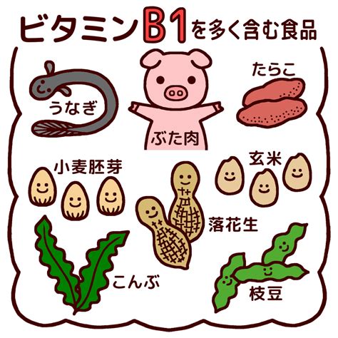 ビタミンb1を多く含む食品カラー給食の無料イラスト生活学校素材