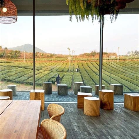 Innisfree Café in Jeju Island South Korea