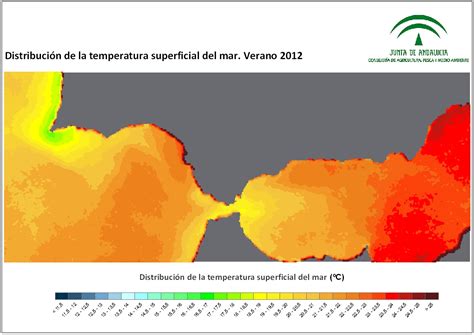 Imágenes de temperatura superficial del mar SST Análisis estacional