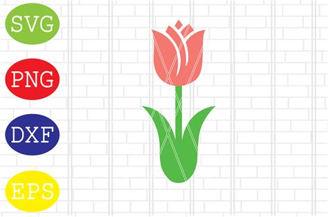 Tulip Svg Flower Svg Spring Svg Png Gráfico Por Digitalsvgfiles