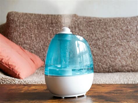 Humidifier For Asthma Pros And Cons