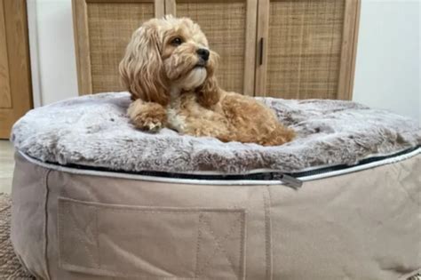 Exquisite Luxury Dog Beds Premium Canine Comfort in Style