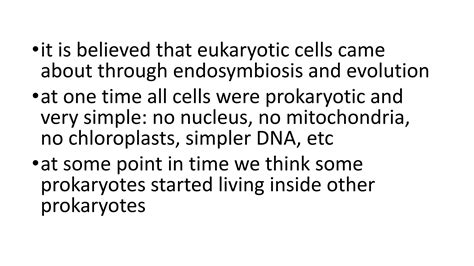 Endosymbiotic Theory Ppt