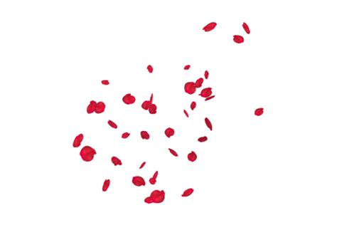 Image Of Falling Red Rose Petals Overlay Png Free Photo