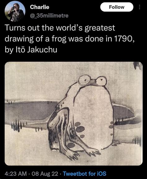 World's greatest Frog Drawing🤔.... : r/frogs