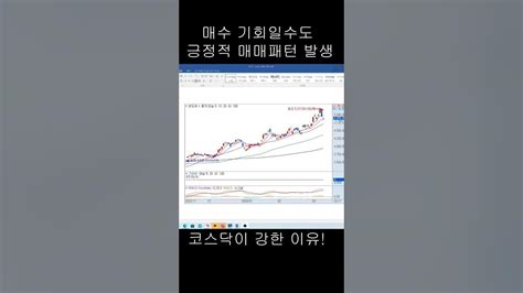 실전투자대회매매기법 엔비디아 급락이 기회일수도 있다 매수시그널 상승시그널 매매기법 Youtube