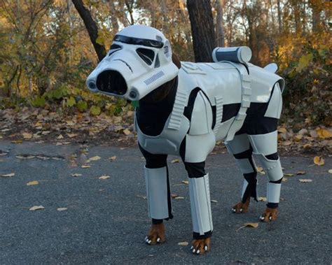 Dog Dressed As a Stormtrooper Has The Best Animal Costume This Christmas