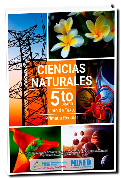 Libro De To Grado Ciencias Naturales Image To U