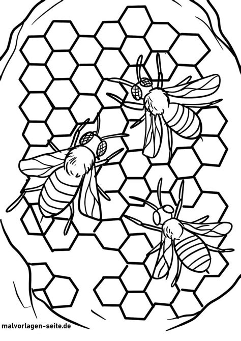 Malvorlage Biene Ausmalbild Kostenlos Herunterladen