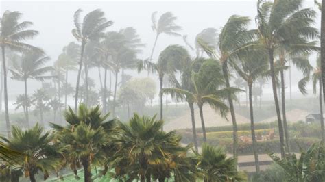 Cyclone Dana Update South Bengal To Witness Heavy Rain Today As