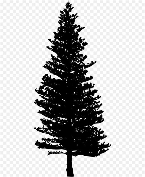 Free Douglas Fir Tree Silhouette, Download Free Douglas Fir Tree ...