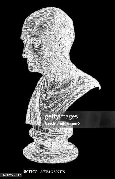 27 Life Of Scipio Africanus Stock Photos, High-Res Pictures, and Images ...