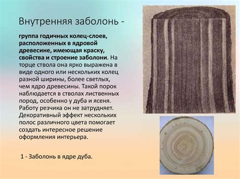 Пороки дерева и древесины - online presentation