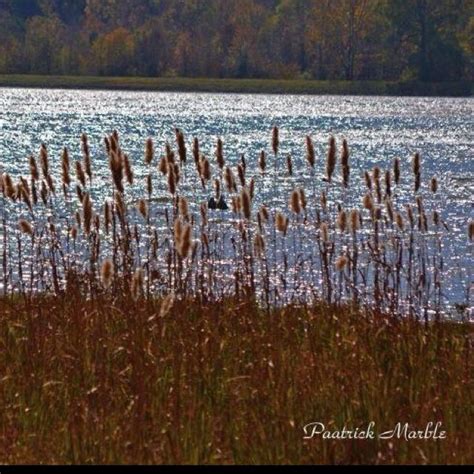 Newton County Lake | Newton county, Farmland, Lake