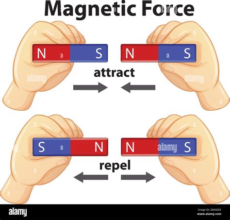 Diagram Showing Magnetic Force With Attract And Repel Illustration