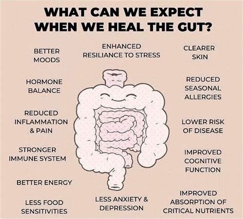 Gut Health Check And Test Np Health Clinic