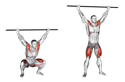 Overhead Squat: Benefits, Muscles Worked, and More - Inspire US