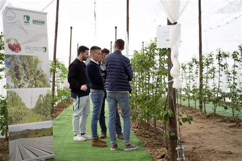 A Macfrut Le Aree Dinamiche Raddoppiano