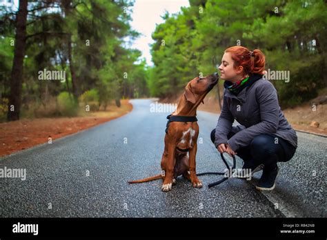 Jeune Fille Baisée Par Un Chien Chien Nouvelles