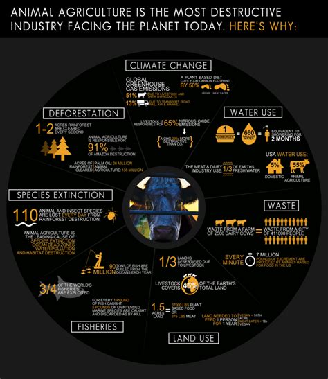 The Environmental Impact of Veganism