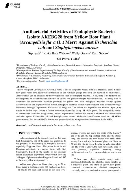 PDF Antibacterial Activities Of Endophytic Bacteria Isolate AKEBG28