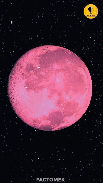 Pink Moon 23 April 2024 😱 Shorts Spacefacts Youtube