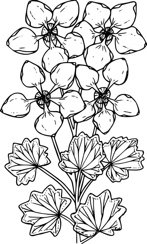 Saxifrage clipart 20 free Cliparts | Download images on Clipground 2026