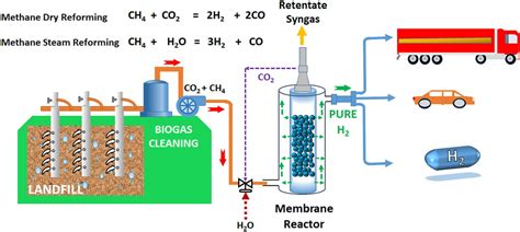 Green Hydrogen Production From Landfill Biomass Gasification