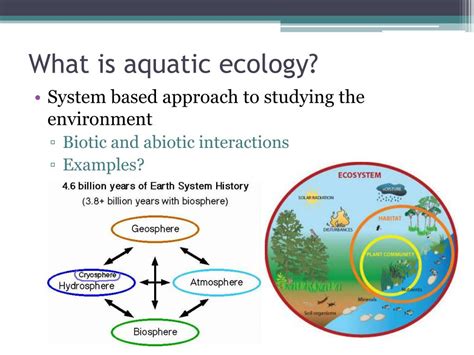 PPT - What is aquatic ecology? PowerPoint Presentation, free download ...