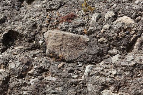 Volcanic Tuff with Large Rock Fragments Stock Photo - Image of tertiary ...